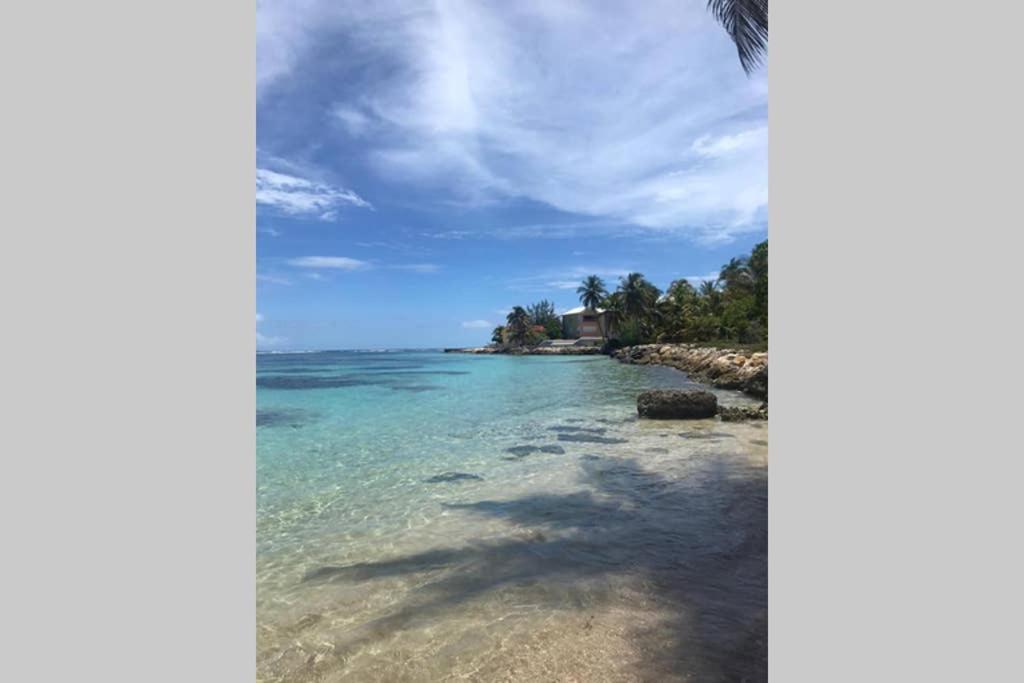 Les Touloulous Sainte-Anne (Grande-Terre) Exterior foto